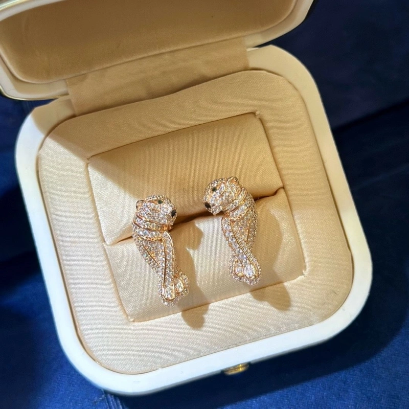 Stylish Cxrtxer Earrings 283292