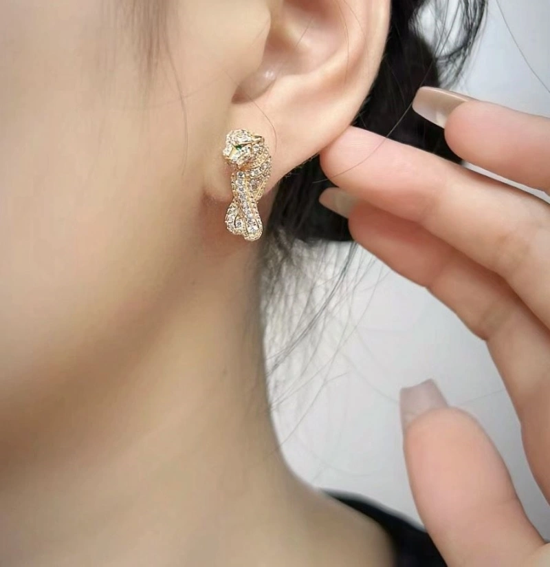 Stylish Cxrtxer Earrings 283292