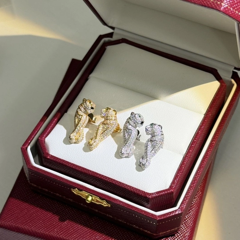 Stylish Cxrtxer Earrings 283292