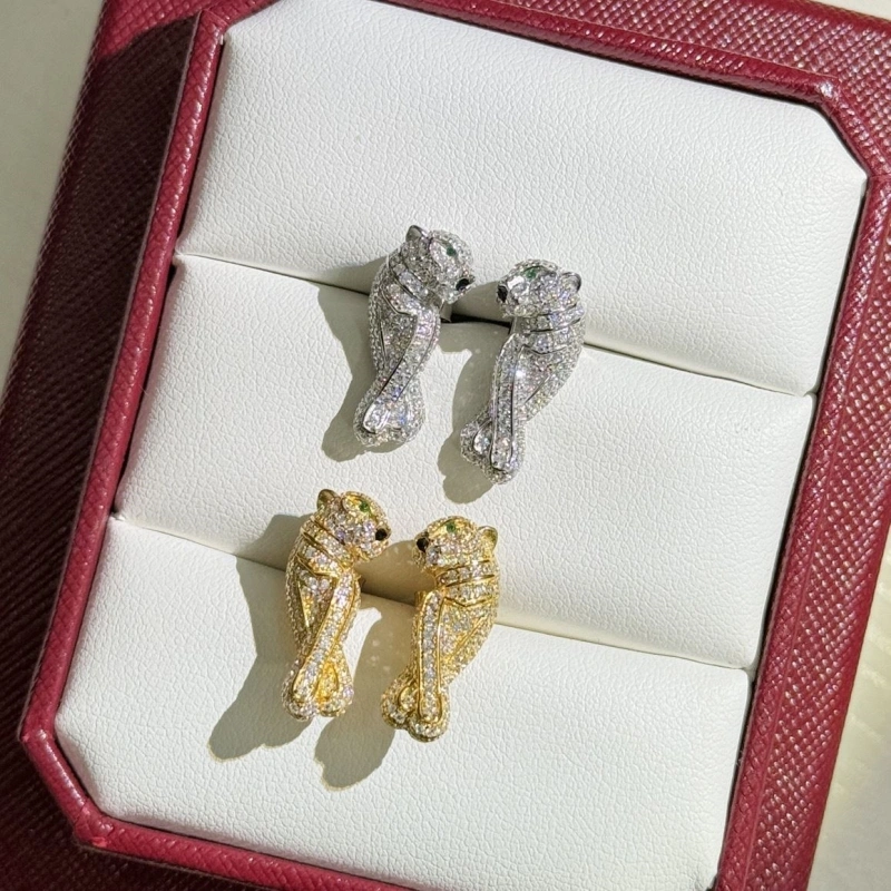 Stylish Cxrtxer Earrings 283292