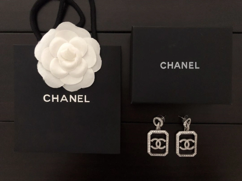 DailyWear Chxnxl Earrings 290112