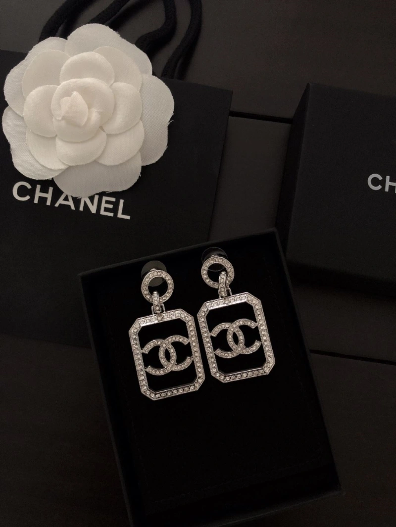 DailyWear Chxnxl Earrings 290112