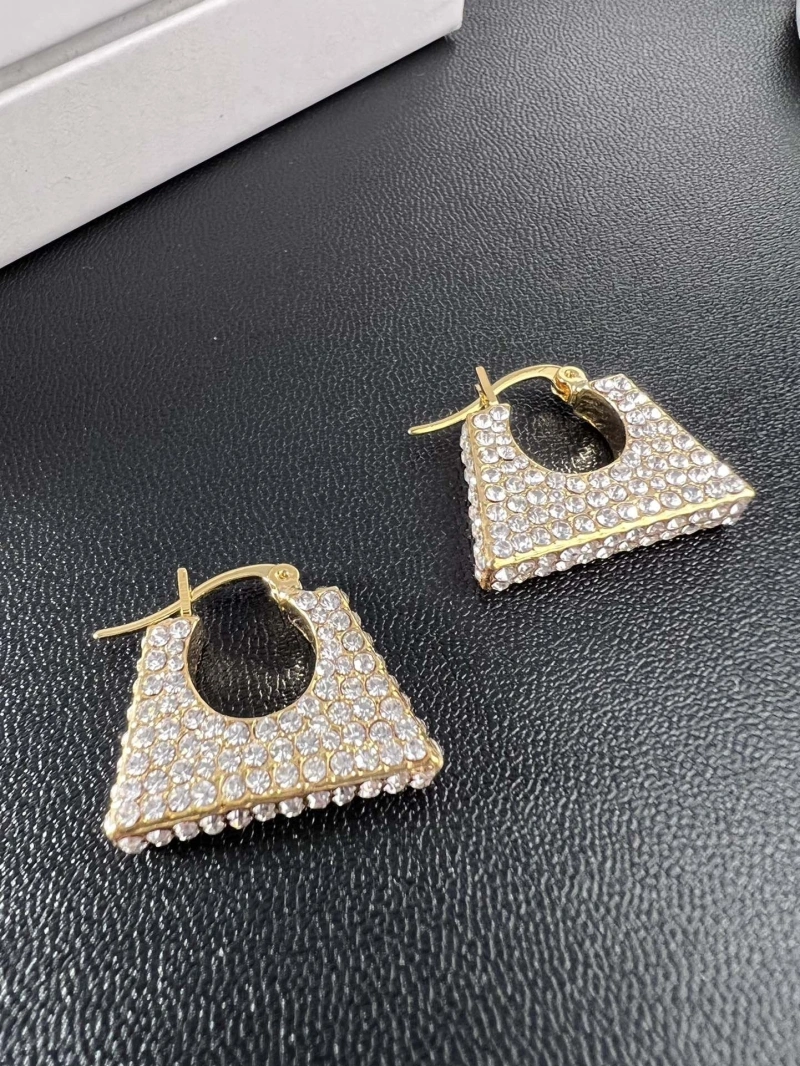 DailyWear Cxlxne Earrings 283690