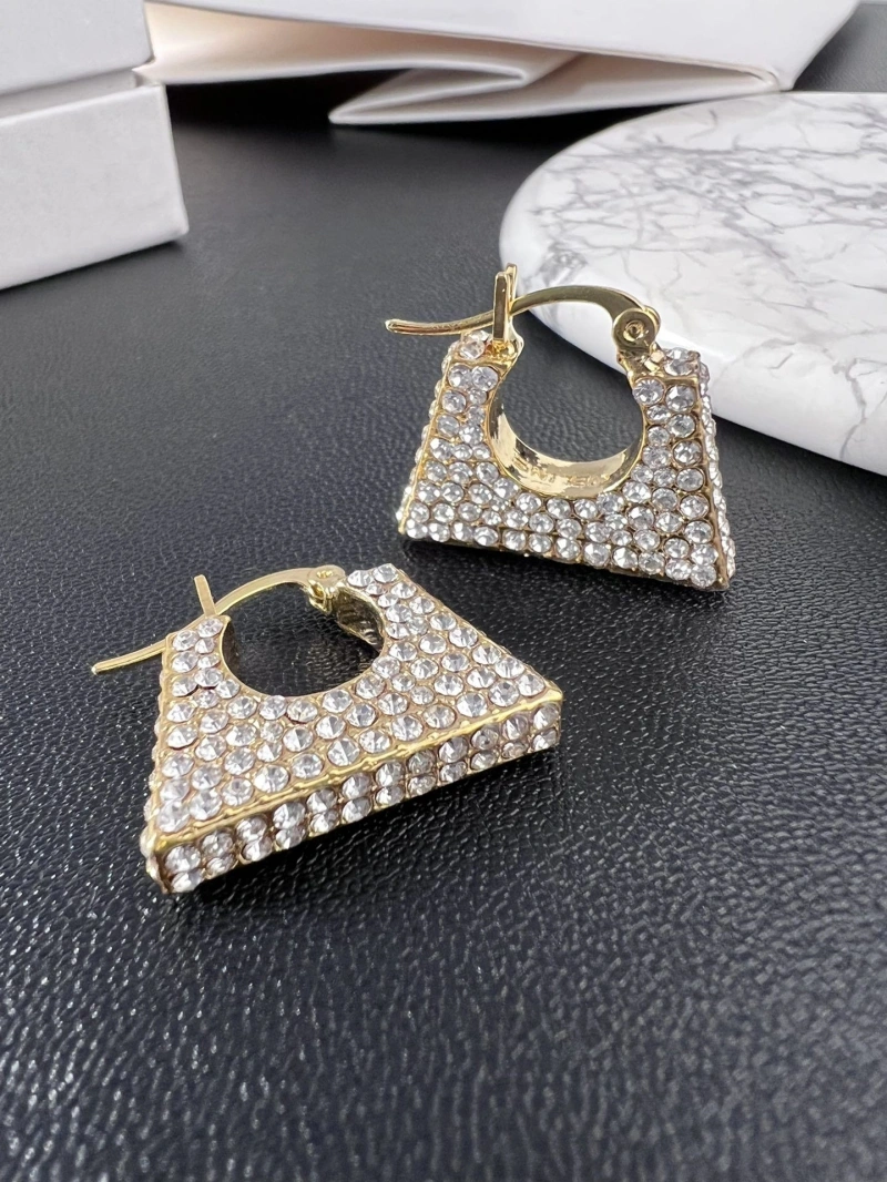 DailyWear Cxlxne Earrings 283690