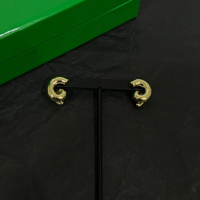 Fashionable Bxttxga VXNXNTA Earrings 282857