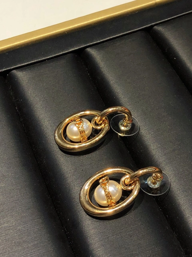 Chxnxl Earrings Practical 289939