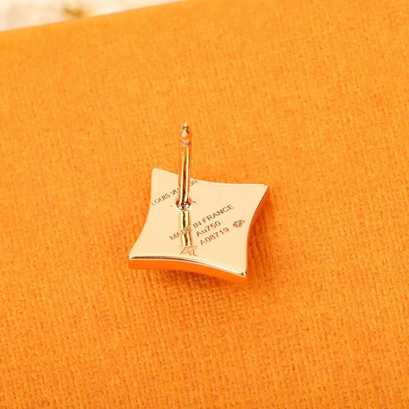 Compact Vcx Earrings 315988