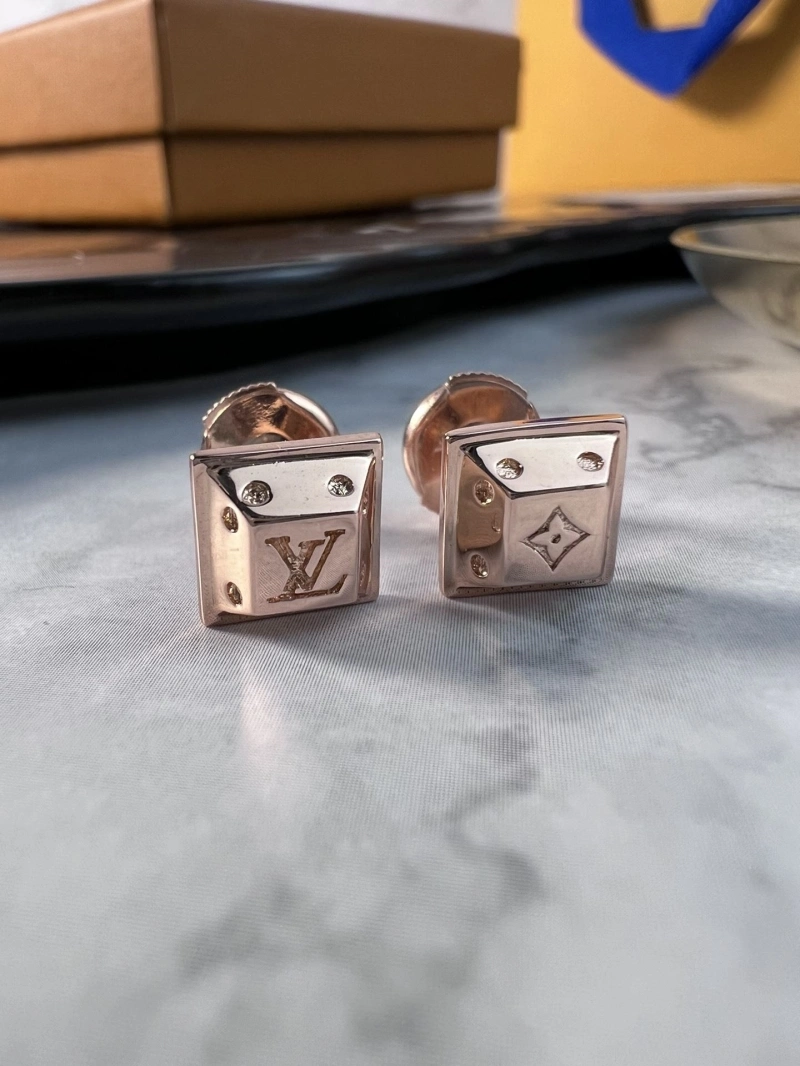 Practical LX Earrings 310198