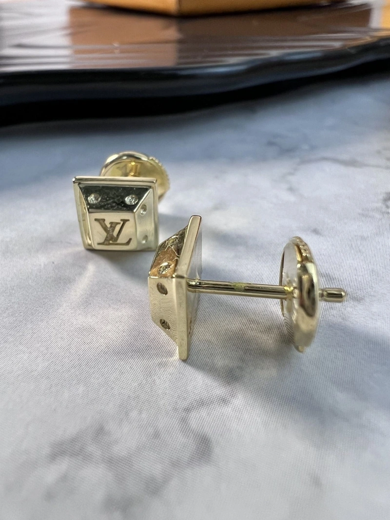 Practical LX Earrings 310198