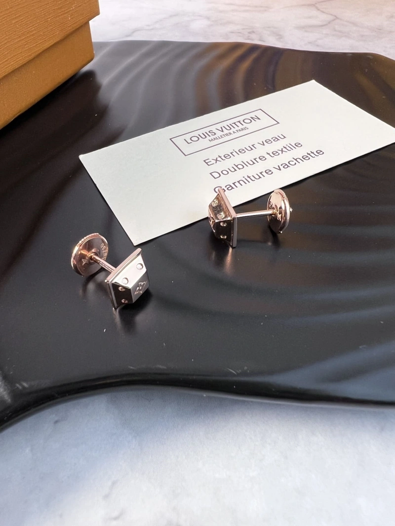 Practical LX Earrings 310198
