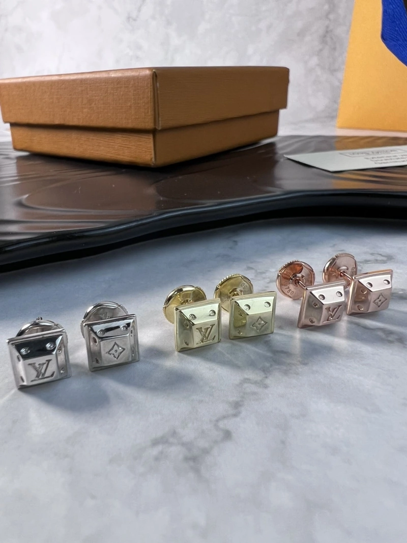 Practical LX Earrings 310198