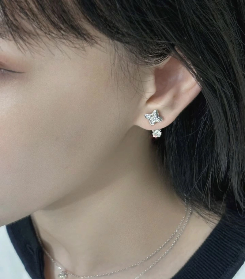 LX Earrings Reliable 310186
