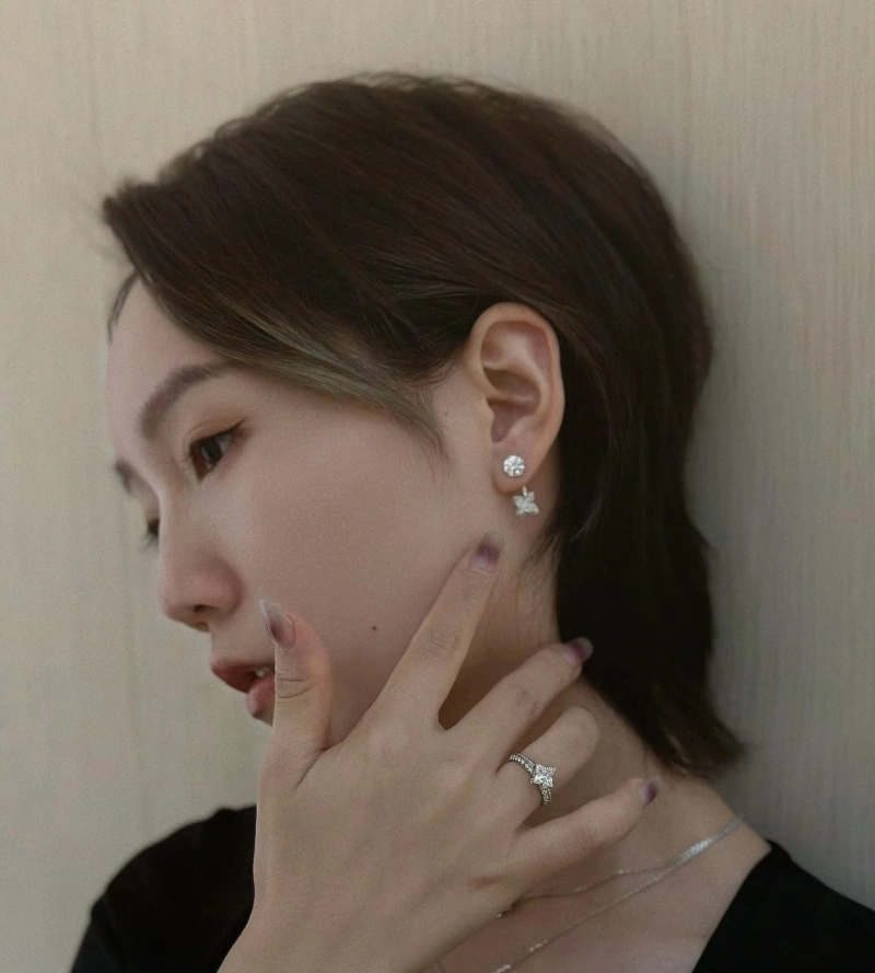 LX Earrings Reliable 310186