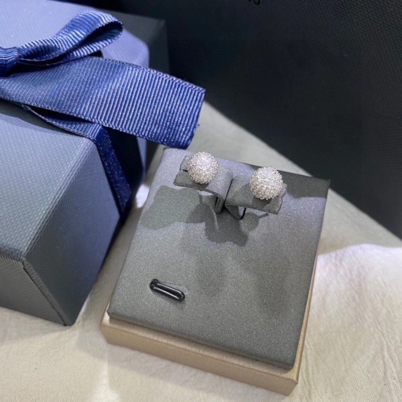 EasyMatch Axm Earrings 281888
