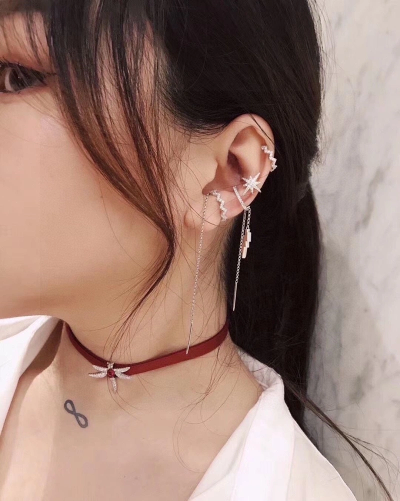 Axm Earrings Classic 281891