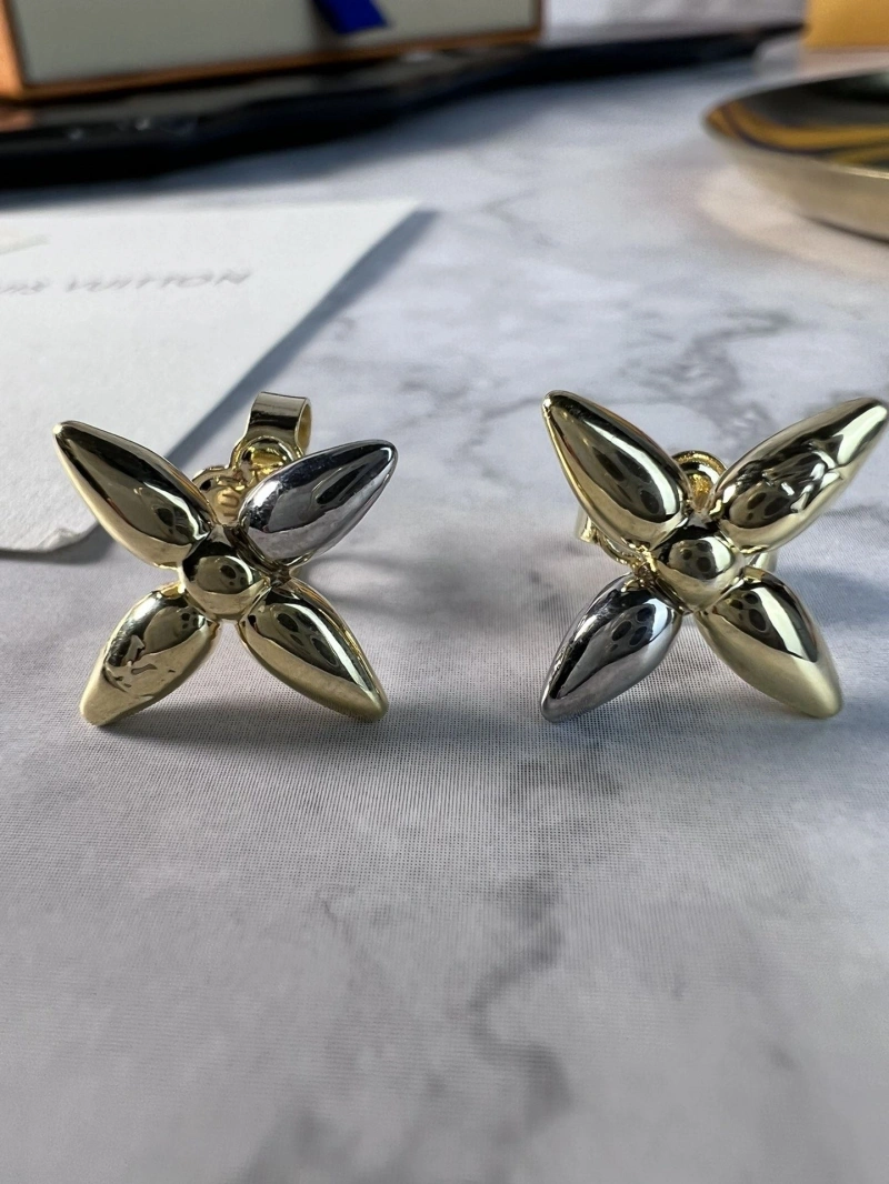Stylish LX Earrings 310168