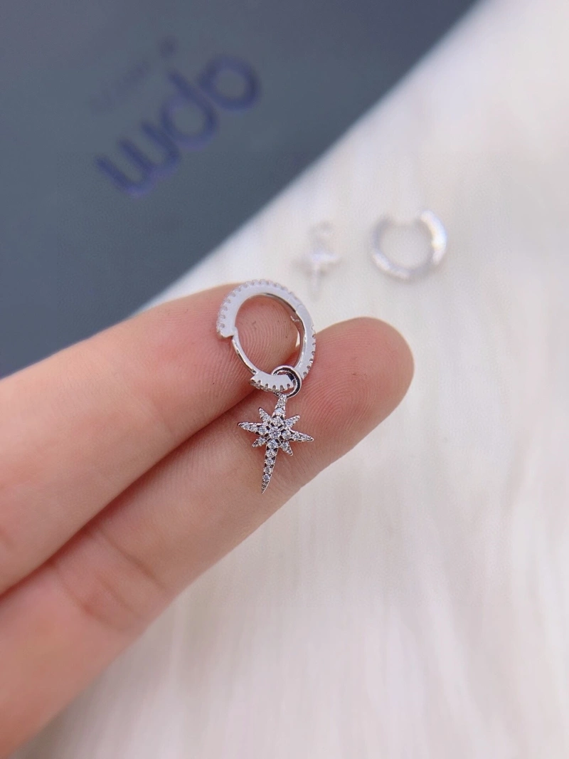 Axm Earrings GoAnywhere 281869