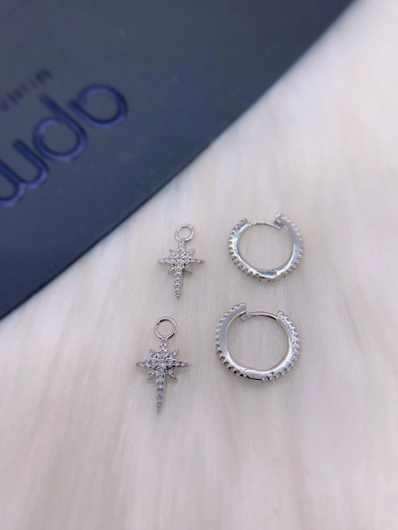 Axm Earrings GoAnywhere 281869
