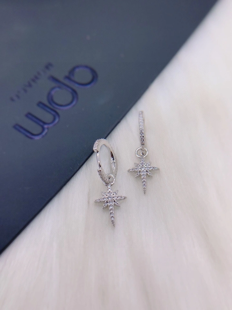 Axm Earrings GoAnywhere 281869