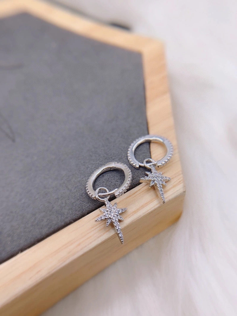 Axm Earrings GoAnywhere 281869