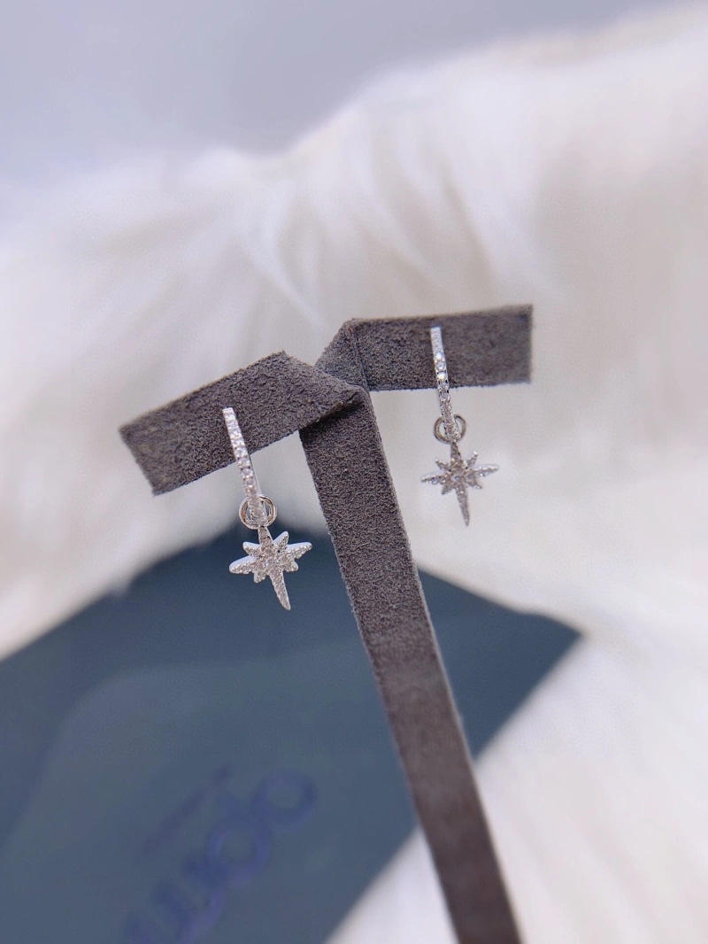 Axm Earrings GoAnywhere 281869