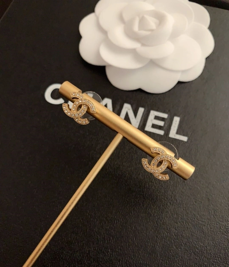 GoAnywhere Chxnxl Earrings 289795