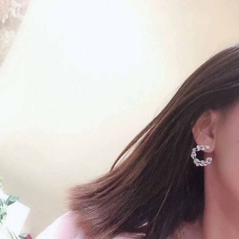 Axm Earrings Bold 281867