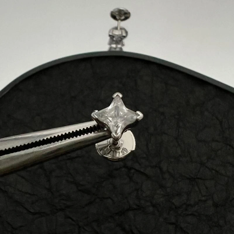 LX Earrings Lightweight 308337