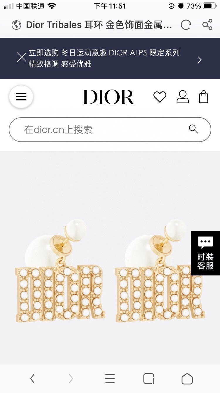 Christian Dxxr Earrings HighQuality 295435