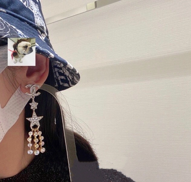 Chxnxl Earrings Sophisticated 291836