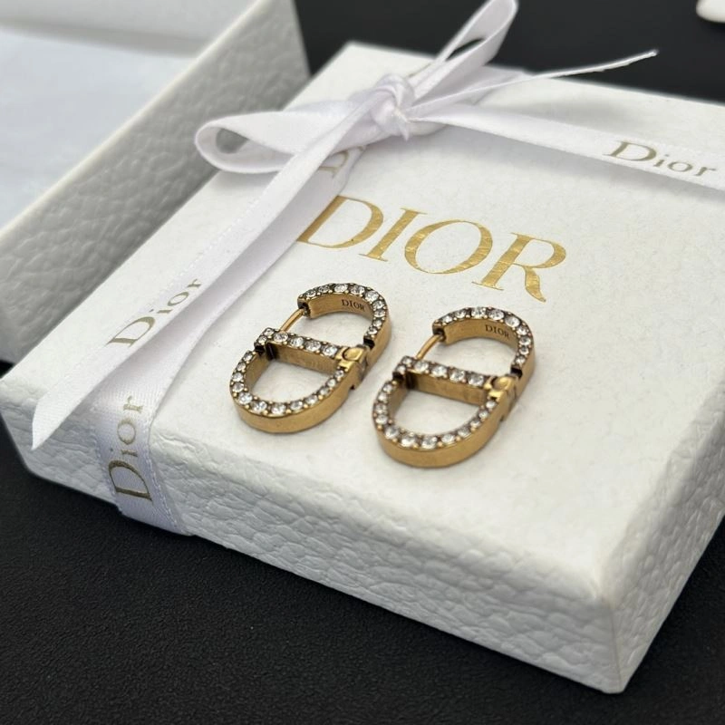 Christian Dxxr Earrings Bright 295387