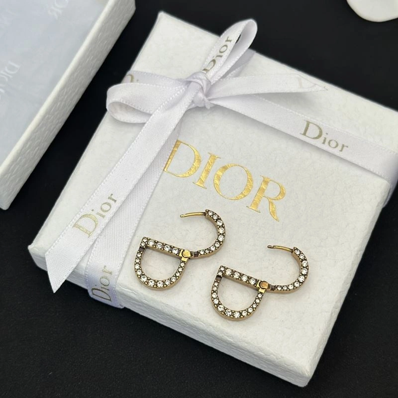 Christian Dxxr Earrings Bright 295387
