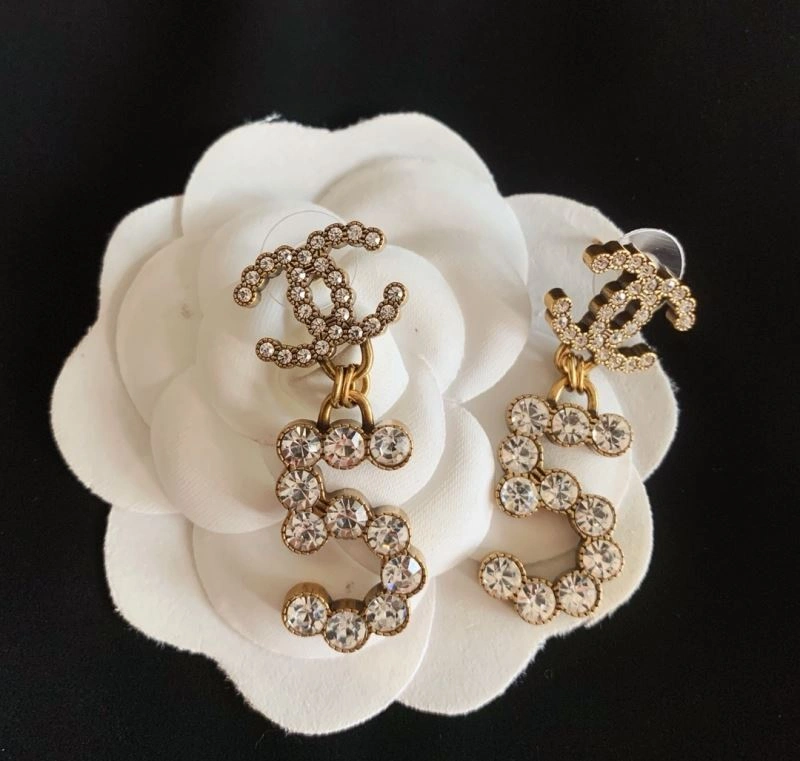 GoAnywhere Chxnxl Earrings 291786