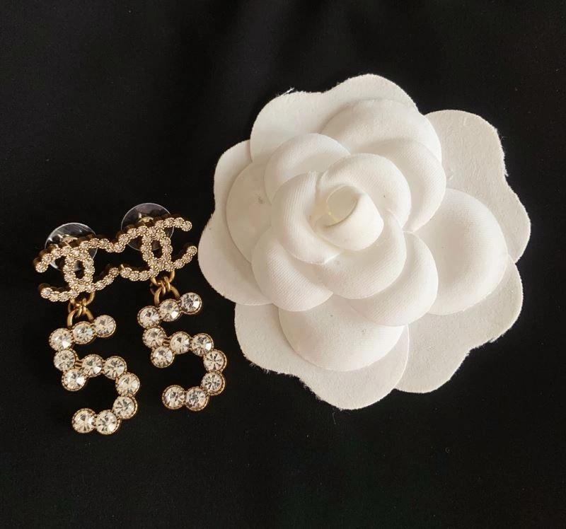 GoAnywhere Chxnxl Earrings 291786