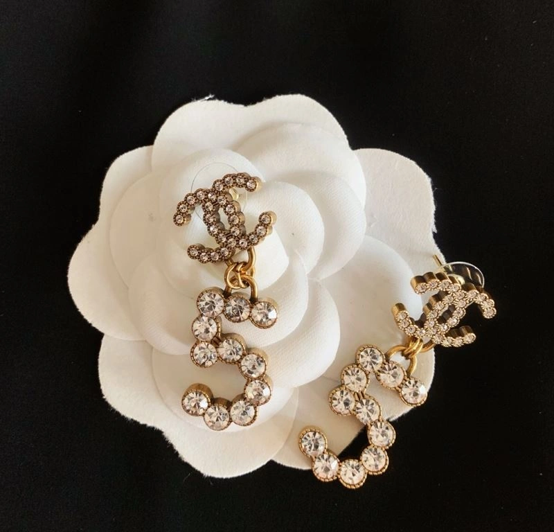 GoAnywhere Chxnxl Earrings 291786