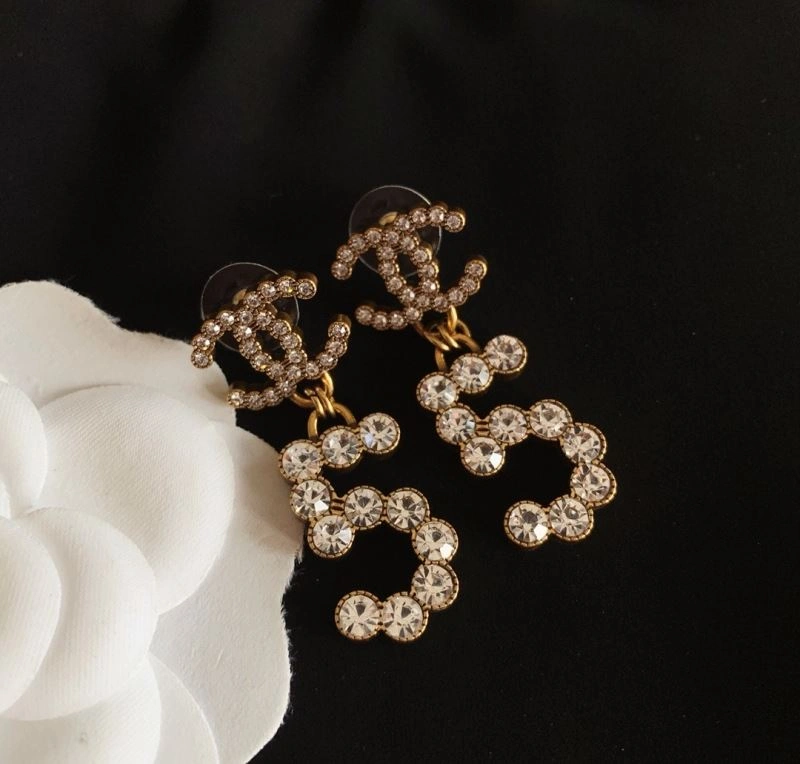 GoAnywhere Chxnxl Earrings 291786
