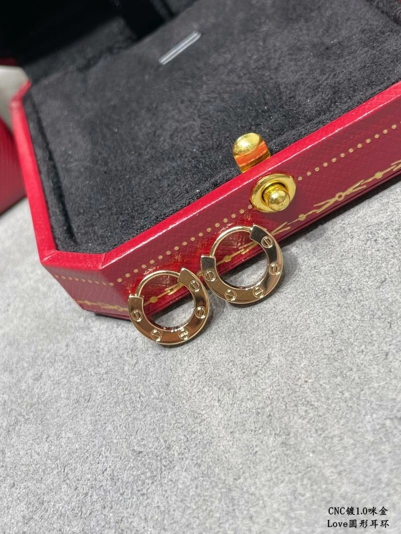 Functional LX Earrings 311654