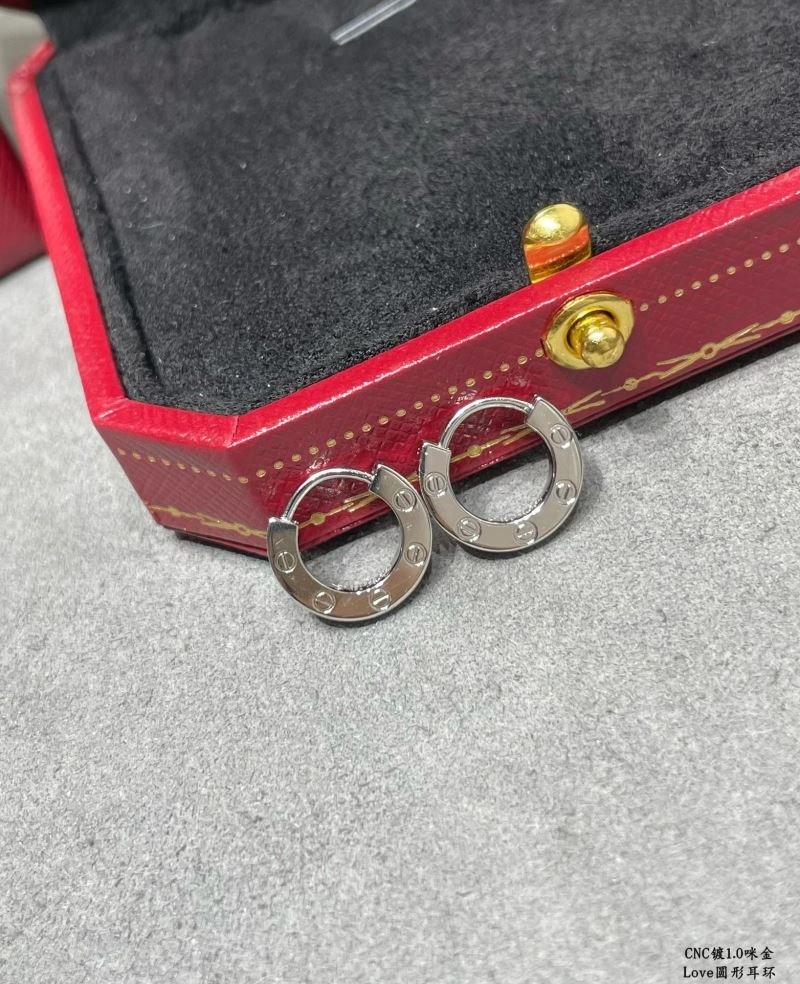 Functional LX Earrings 311654