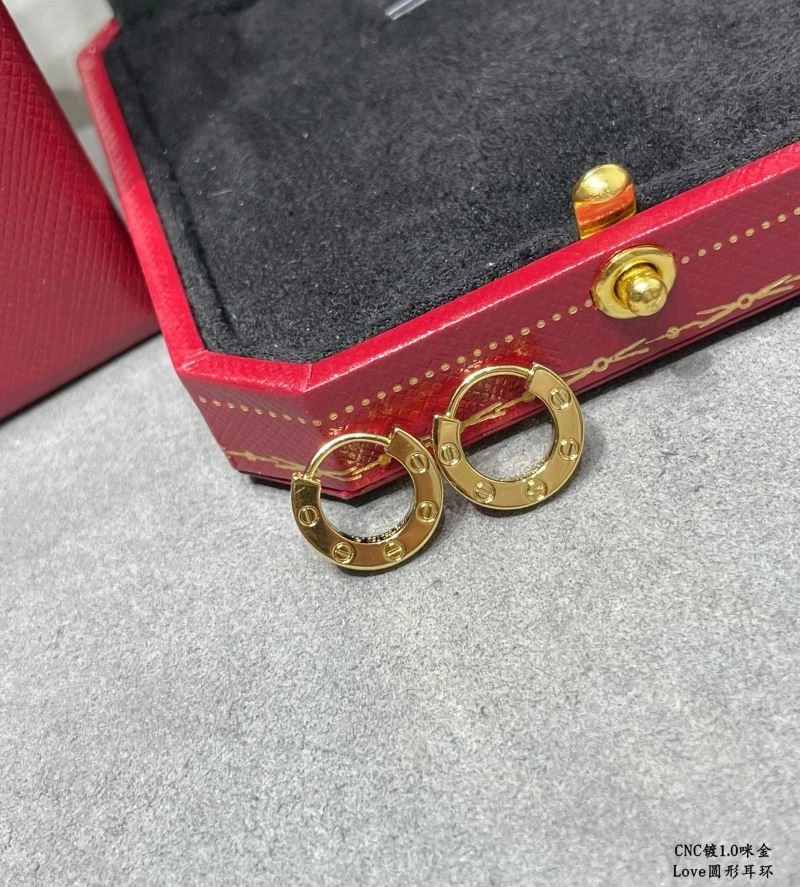 Functional LX Earrings 311654