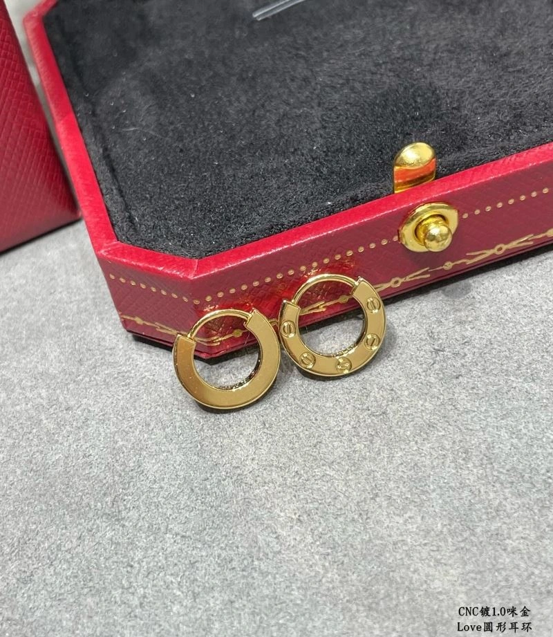 Functional LX Earrings 311654