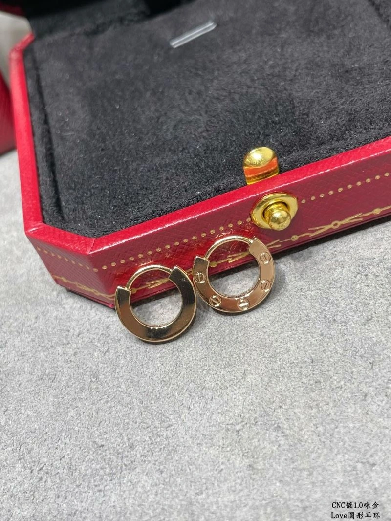 Functional LX Earrings 311654