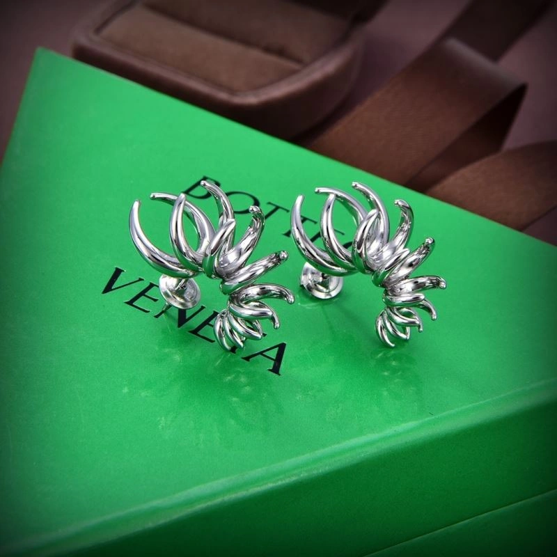 Bxttxga VXNXNTA Earrings Elegant 282966