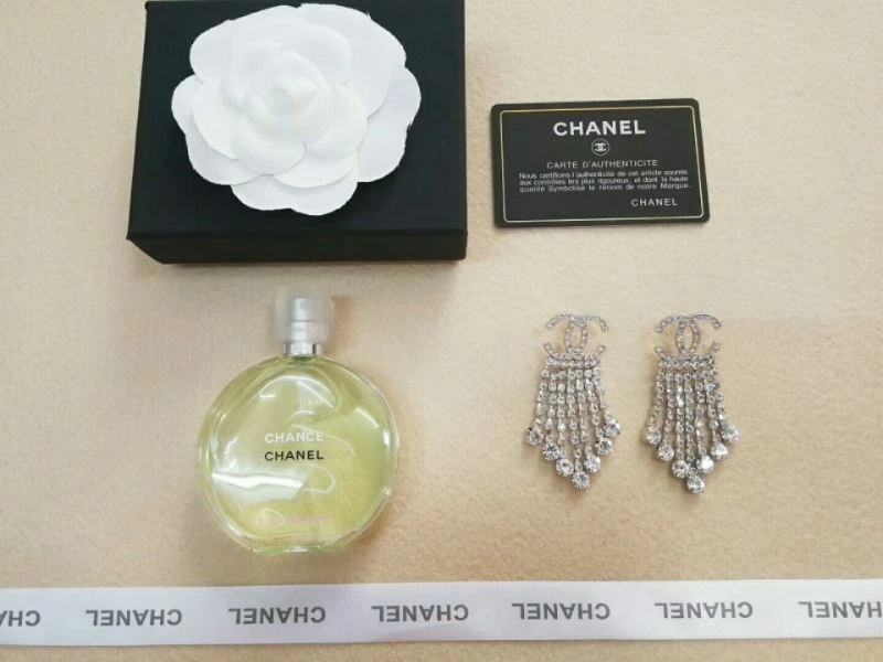 Chxnxl Earrings Modern 291594