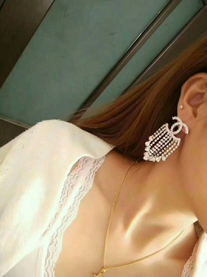 Chxnxl Earrings Modern 291594
