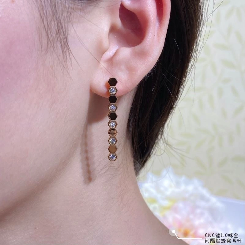 LX Earrings BestValue 311645