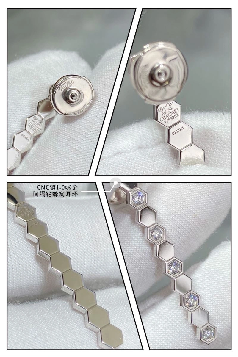 LX Earrings BestValue 311645