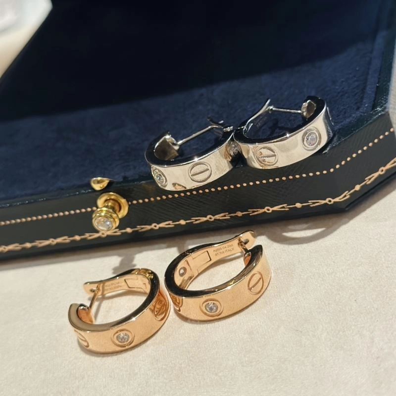 Trendsetting LX Earrings 311640