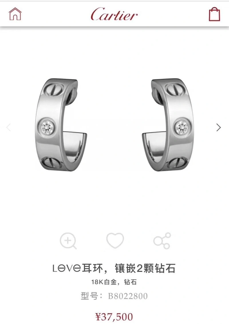Trendsetting LX Earrings 311640