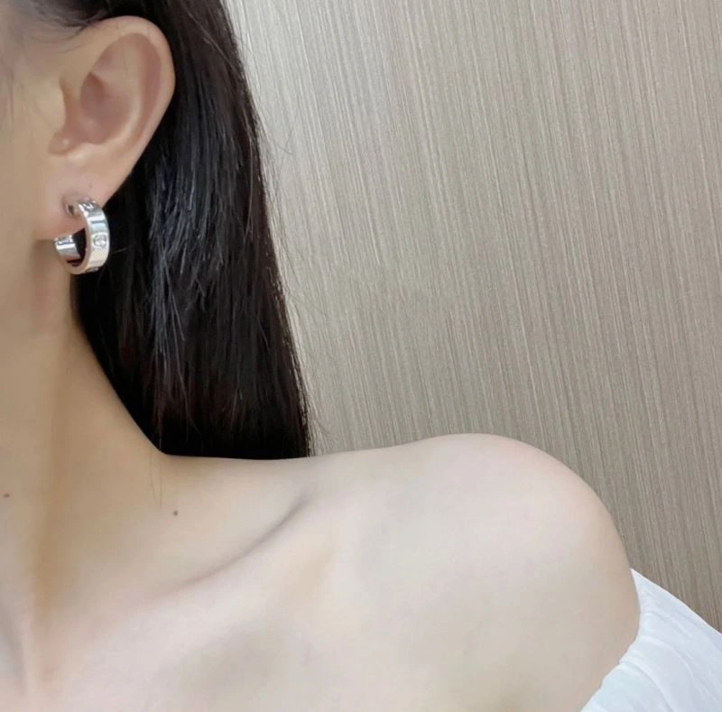 Trendsetting LX Earrings 311640