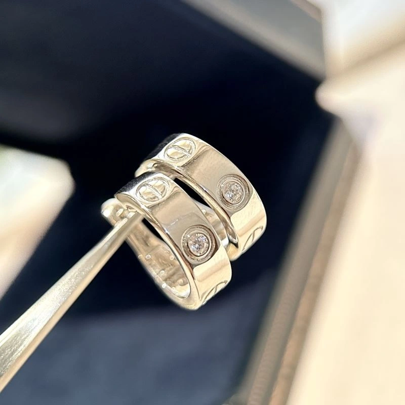 Trendsetting LX Earrings 311640